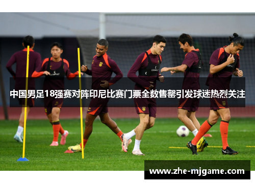 中国男足18强赛对阵印尼比赛门票全数售罄引发球迷热烈关注